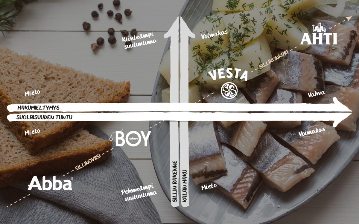 sillikoulu infograafi